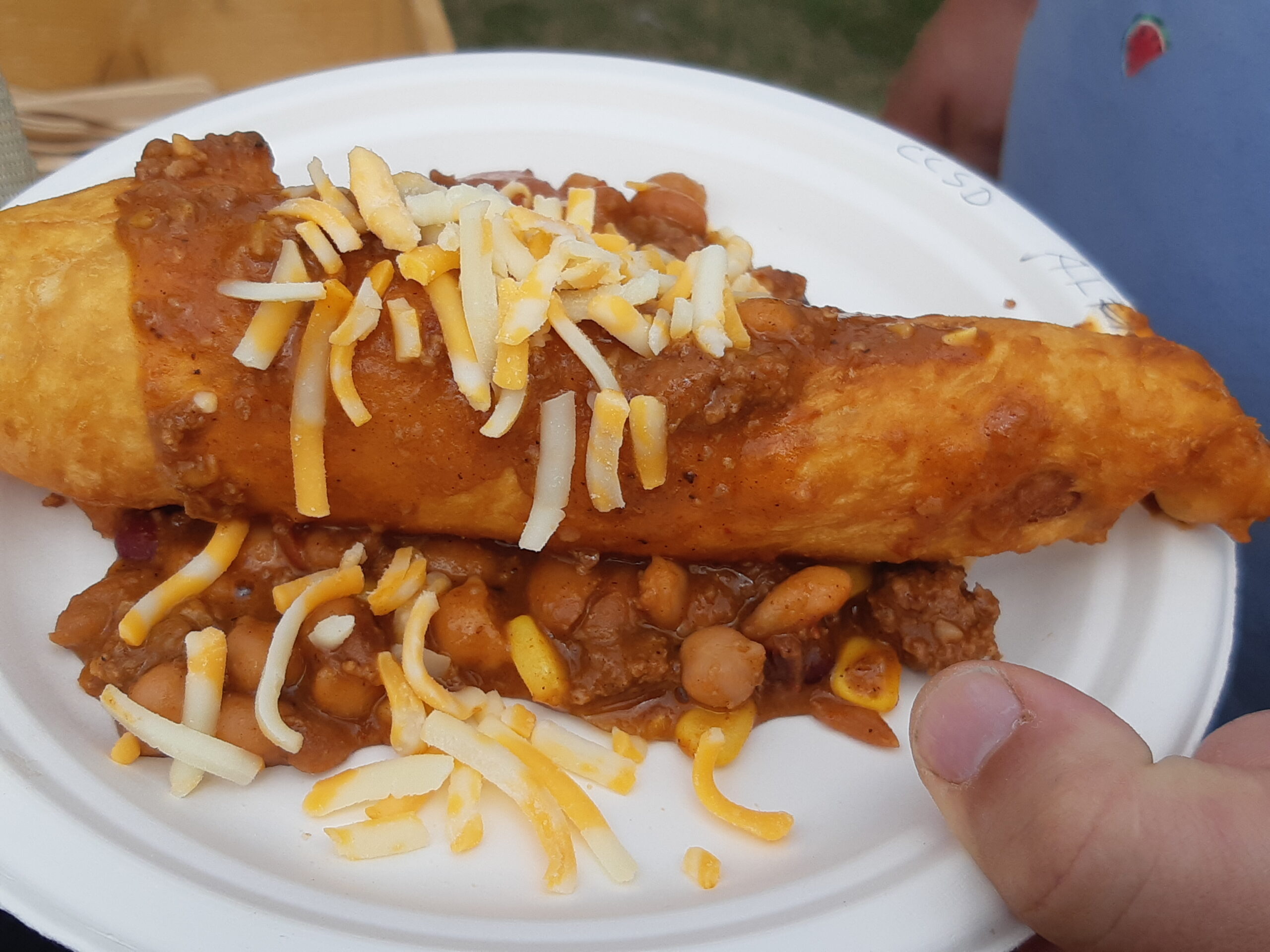 20220730_144317 A plate with deep fried fish topped with chili and sheese.